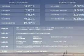 百公里加速6.9秒，开创中大型轿车油耗“3时代”！2025款汉售价16.58万—23.58万元图片