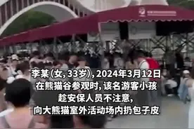 扔包子皮、吐口水、丢烟头…熊猫谷一次性通报6人：终身禁入成都此地！图片