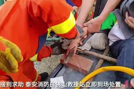 果然视频|5岁男孩被农耙扎手，消防员一分钟帮其脱困图片