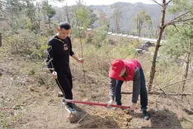 扎“廉”花  听“廉”课  植“廉”树 让党员教育步步生“廉”图片