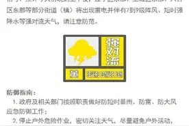 强对流黄色预警！南京下冰雹了！图片