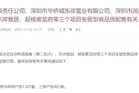 最低均价14880元/㎡！深圳1790套安居房来了图片