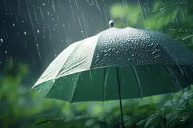 今起10天，上海多雨图片
