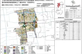 浦东宣桥镇郊野单元村庄规划有调整，来看详情图片