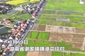独家视频丨粮食安全 中国饭碗 总书记心中的“国之大者”图片