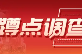 蹲点深一度｜走向世界的“桃花岛”图片