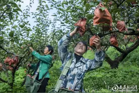 涟源古塘：“生态银行”让村民长期领上“幸福红利”图片