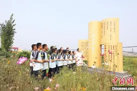 张爱玲逝世28周年：未踏祖籍故土，却“书香继世”图片