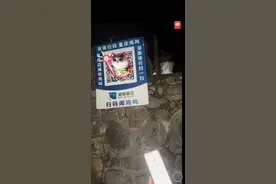游客在湖南扫码听重庆鸡叫？商家：地处渝贵湘交界，江对面公鸡像里有电子设备图片
