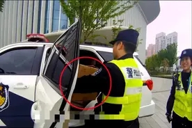 “飞行萌物”落难，上海徐汇警民接力暖心救助图片