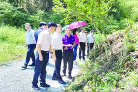 浙江走出“药监助共富”新路子图片