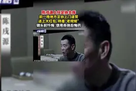陈戌源上任足协主席前一晚，地方足协上门道贺送上大红包称是“老规矩”，镜头前忏悔：想用命换后悔药视频封面