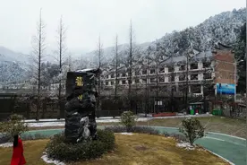 视频|龙山国家森林公园：玉树琼花惹人醉图片