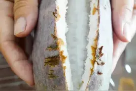 解锁沪郊小众水果，它们看起来好像很好吃→图片