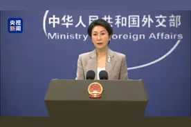 大熊猫“宝力”和“青宝”今晨赴美 外交部介绍详情图片