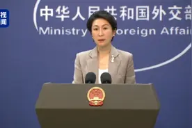 大熊猫“宝力”和“青宝”今晨赴美 外交部介绍详情图片