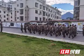 城步：坚持“五个强化” 筑牢森林防火屏障图片