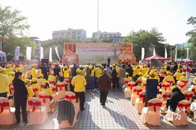 “橙”熟了！莞企受邀为梅州平远脐橙“带货”，助力乡村振兴图片
