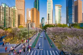 楚商回乡，共建支点！武汉邀您游江城、赏樱花、话合作图片