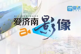 爱济南影像丨黄河畔的金色麦浪“醉人心田”图片