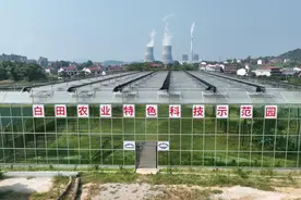 邵阳市北塔区：以巡促改，助力“万企兴万村”行动图片
