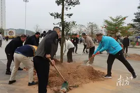 同心携手、共植新绿！郁南县镇村干群植树3万余株图片