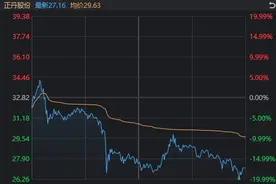 10倍大牛股，闪崩！为什么刷屏的半导体高开低走，败给了电力板块？图片