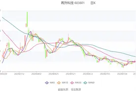 再升科技：2024年上半年净利润同比下降6.30% 拟10派0.3元图片