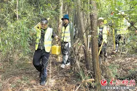 没什么人去的地方，我们去！图片