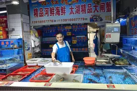 鲜活梭子蟹你今年尝过了吗？来自黄河口的大闸蟹也上市了图片