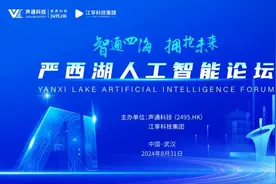严西湖人工智能论坛：共探AI未来趋势，武汉发力产业集群图片