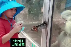 山东一动物园投喂器火啦，“互动式”投喂让小朋友玩嗨了！网友：动物园都这么“卷”了吗？图片