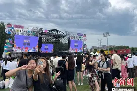 2024沈阳草莓音乐节燃情开唱图片