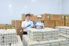 香港每两枚鸡蛋中，就有一枚来自湖北图片