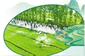 农业保险承保理赔作用日显图片