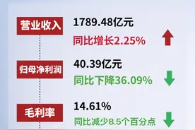 蒋铁峰掌舵首年利润大降 招商蛇口高溢价拿地是冒险还是远见？图片
