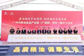 广州市规模最大粮仓基地在清远开工 可存储超51万吨粮食图片