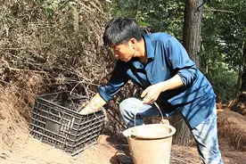 仁怀：林下养殖实现“绿”“富”双赢图片