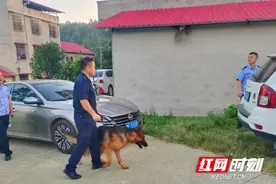 邵阳县公安局：老人上山采菌失联 警犬3小时找回图片