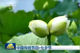 央视联播｜中国传统节日·七夕节图片
