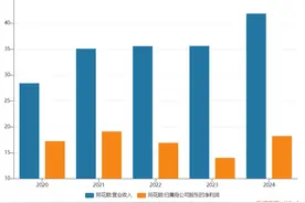 布局投顾、选股，AI能让同花顺赚到更多钱吗？图片