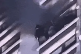 热闻|本想给爱猫送温暖，结果却让主人“悬命”17楼窗外！这个“爱宠神器”很多人家里都有图片