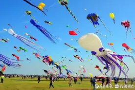 青岛要办沙滩风筝节啦！就在崂山石老人，本周六拉开帷幕，共9天图片