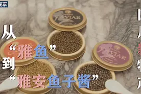新时代新物产丨从雅鱼到雅安鱼子酱图片