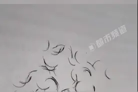 医生回应女子眼角掉出74根眼睫毛，网友担心睫毛掉进眼睛越积越多图片
