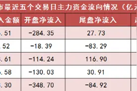 【13日资金路线图】两市主力资金净流出超800亿元 煤炭等行业实现净流入图片