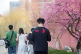 全攻略！请收好这份“上海春季赏花指南”图片