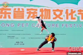 广东宠物文化节吸引数万名宠物爱好者图片