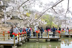 上春山！“淄博游”热度暴涨，潭溪山清明假期迎客流高峰图片