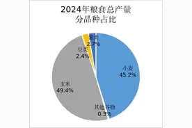 泰安粮食生产实现“三增” 粮食总产量连续六年保持在250万吨以上图片